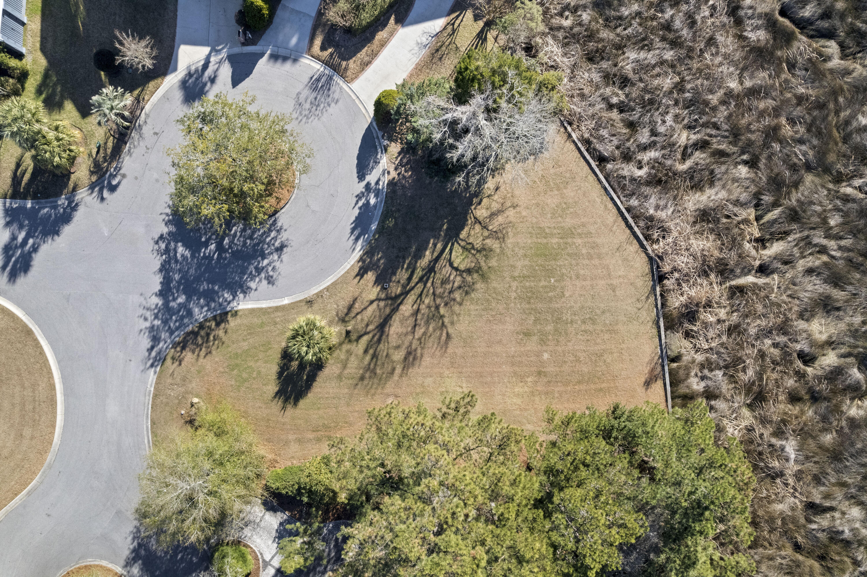 843 Bridge Point Circle Mount Pleasant, SC 29464 - Photo 5 of 13 5 (1)