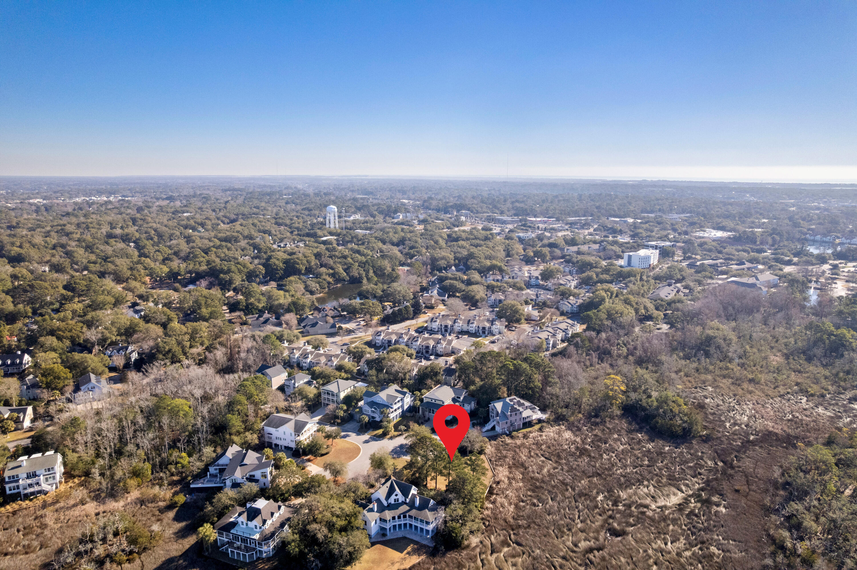 843 Bridge Point Circle Mount Pleasant, SC 29464 - Photo 10 of 13 10
