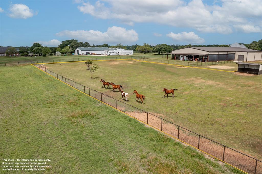 5.093-ac McCormick Road Oak Point, TX 75068 - Photo 5 of 6 Pasture View