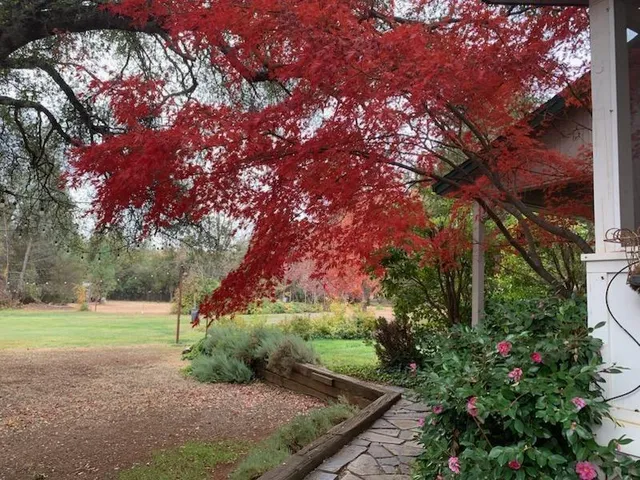 $2,995,000 | 22004 Parrotts Ferry Road, Sonora, CA 95370