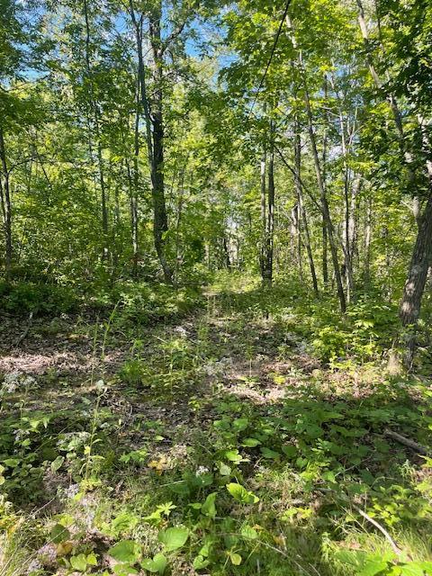 169 Highway 169 Garrison, MN 56450 - Photo 12 of 15