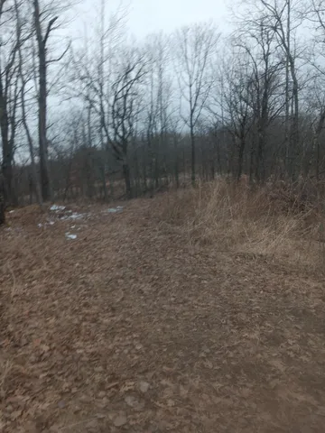 $29,900 | 169 Highway 169, Garrison, MN 56450