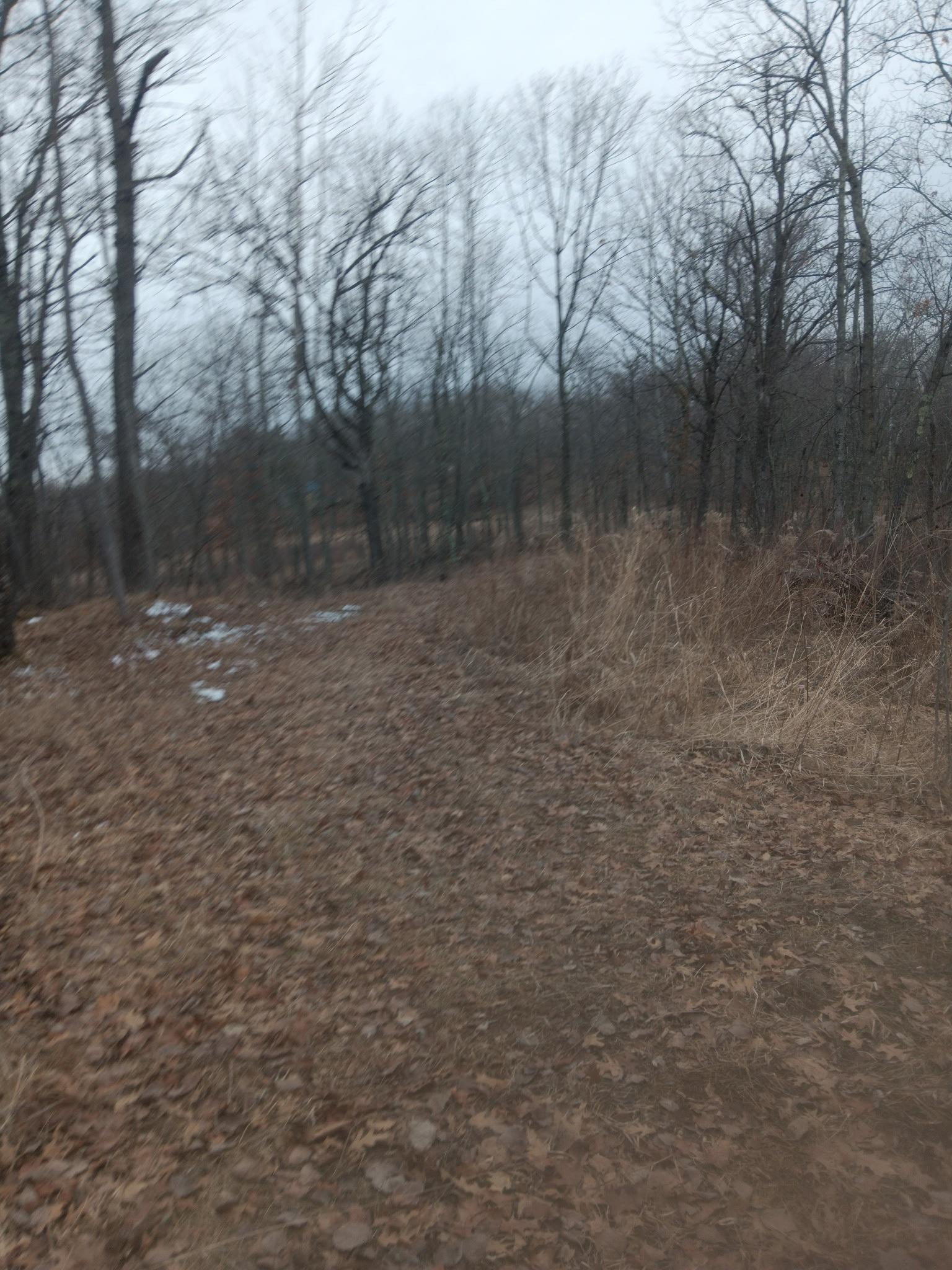 169 Highway 169 Garrison, MN 56450 - Photo 3 of 15