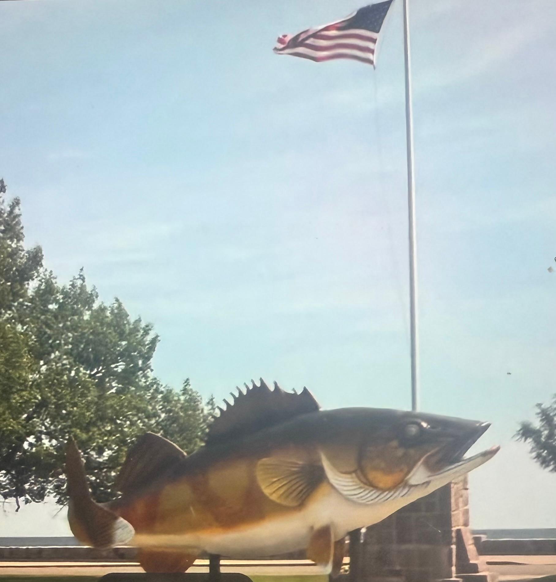 169 Highway 169 Garrison, MN 56450 - Photo 7 of 15