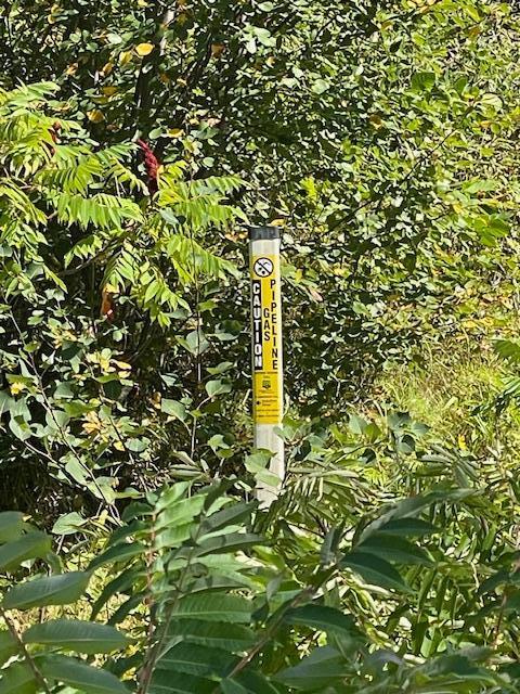 169 Highway 169 Garrison, MN 56450 - Photo 9 of 15