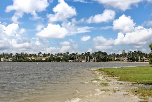 a view of a yard in front of a house