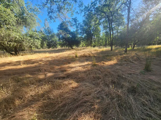 a view of a yard with a tree