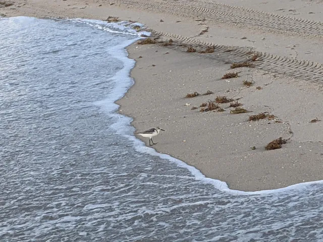 $7,950 | 2840 South Ocean Boulevard, Unit 6110, Palm Beach, FL 33480