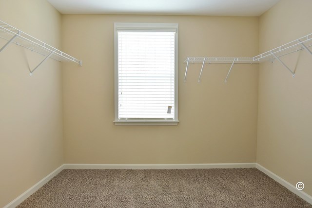 7728 Garrett Road Midland, GA 31820 - Photo 26 of 28