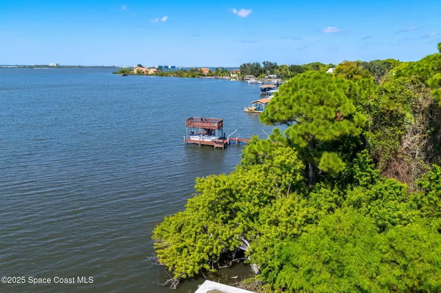 a view of a park with tree s