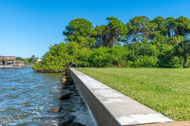 a view of a yard with plants