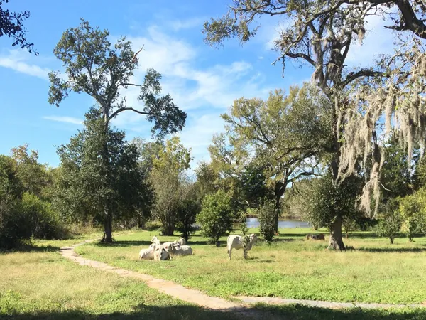 $620,000 | 8 Nelson Road, Hempstead, TX 77445