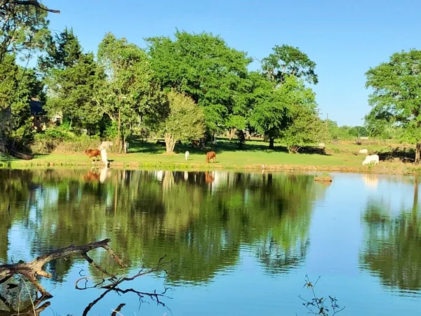 $620,000 | 8 Nelson Road, Hempstead, TX 77445