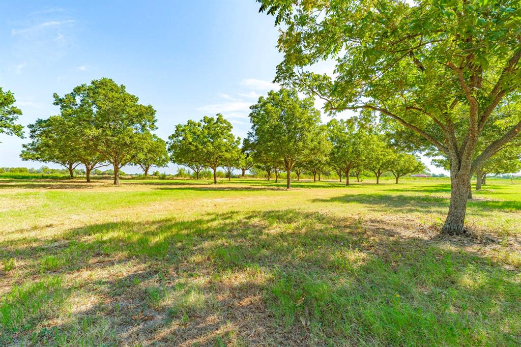 11217 Foutch Road Pilot Point, TX 76258 - Photo 31 of 39 Pecan Grove