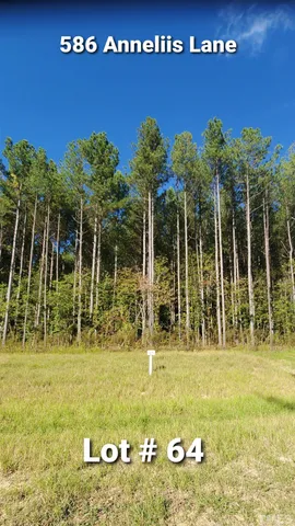 a view of swimming pool with lawn chairs and floor to ceiling window and yard