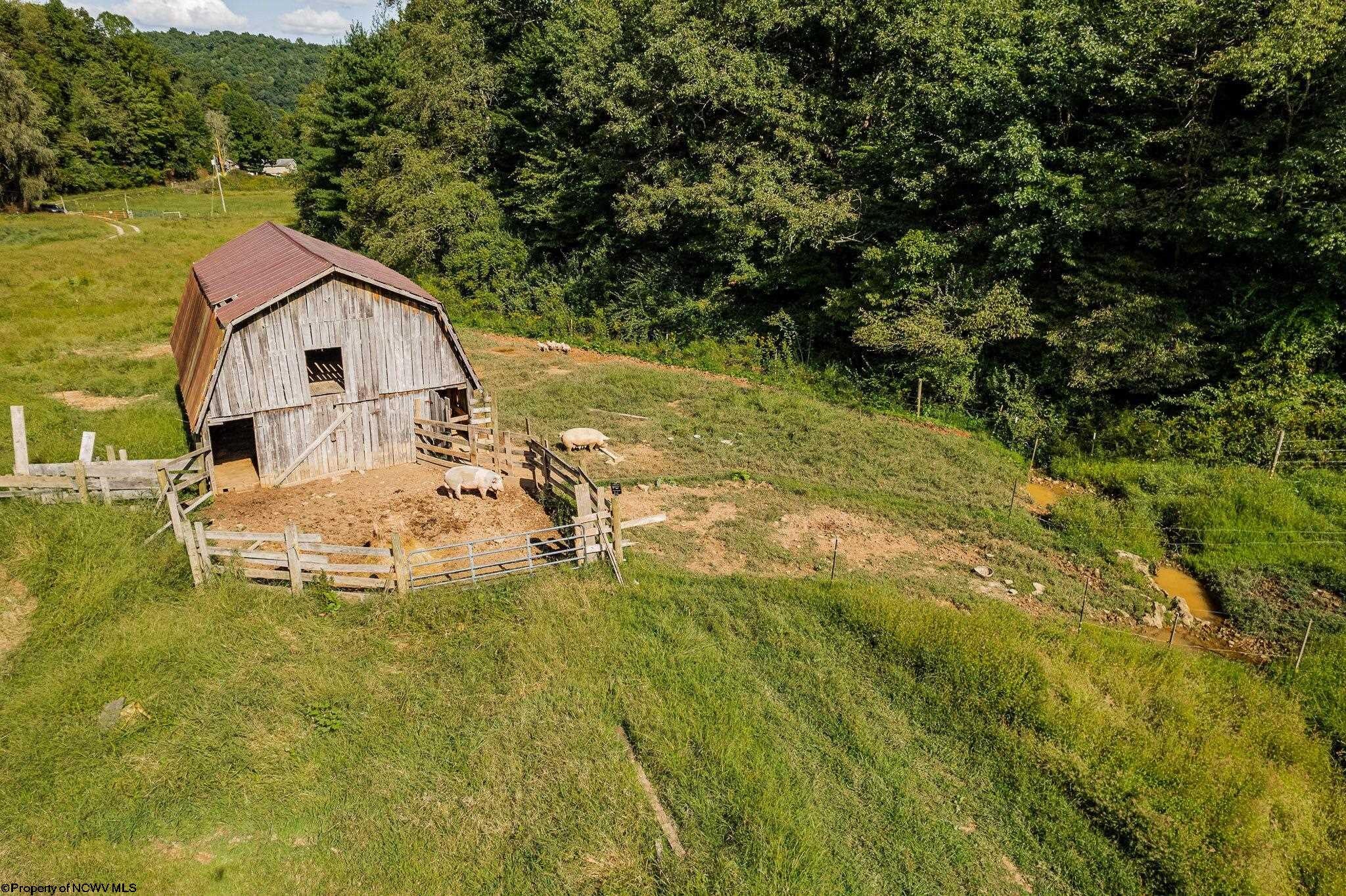 302 Hunters Cove Road Walkersville, WV 26447 - Photo 6 of 29 Gallery Image 6