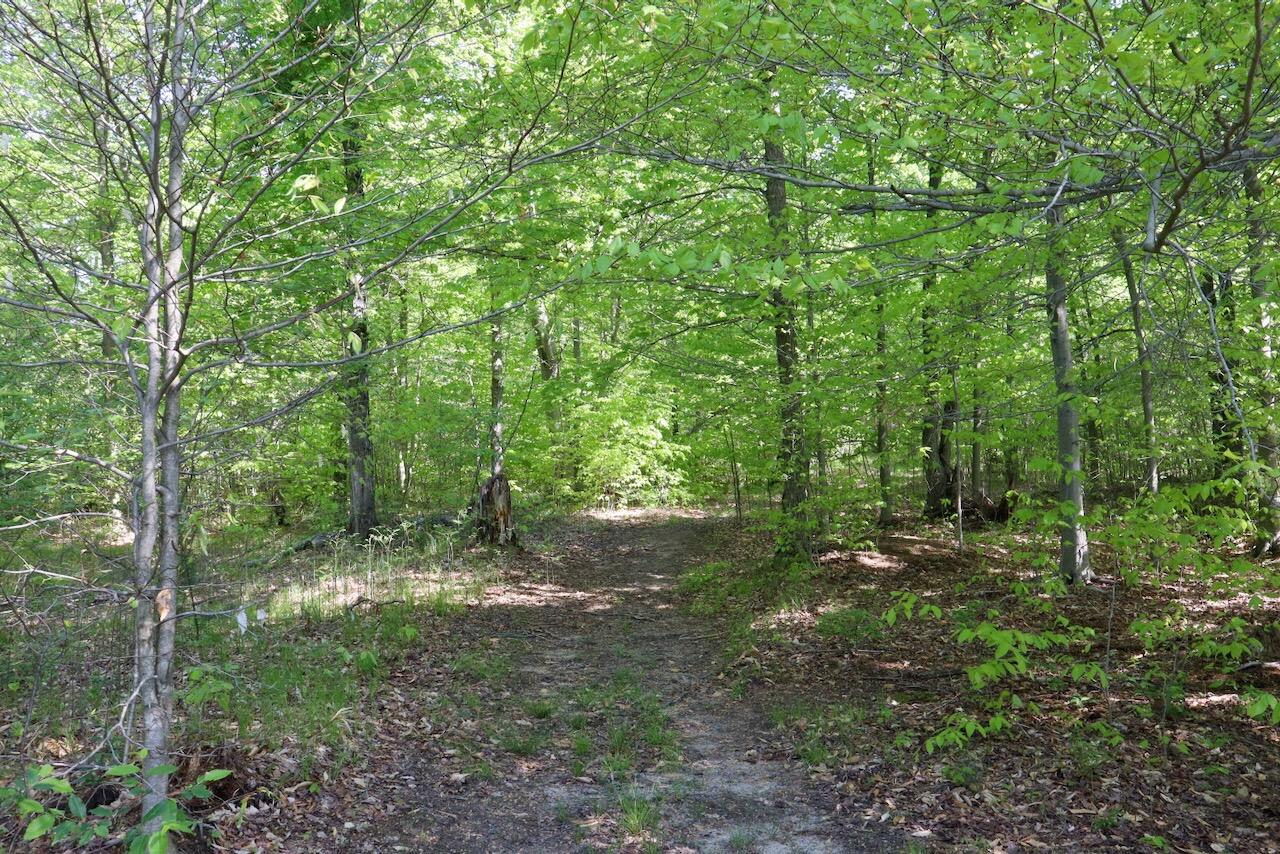 11547 1 Mile Road Leroy, MI 49655 - Photo 61 of 73 53_