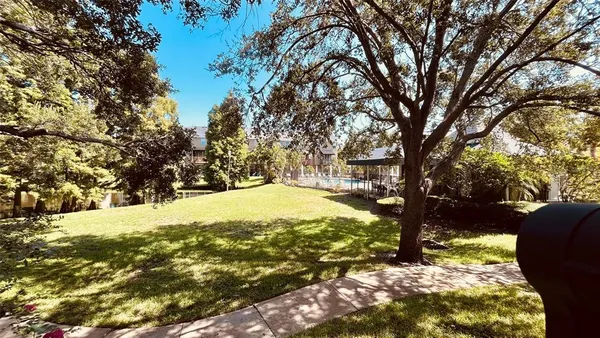 a view of a yard with trees