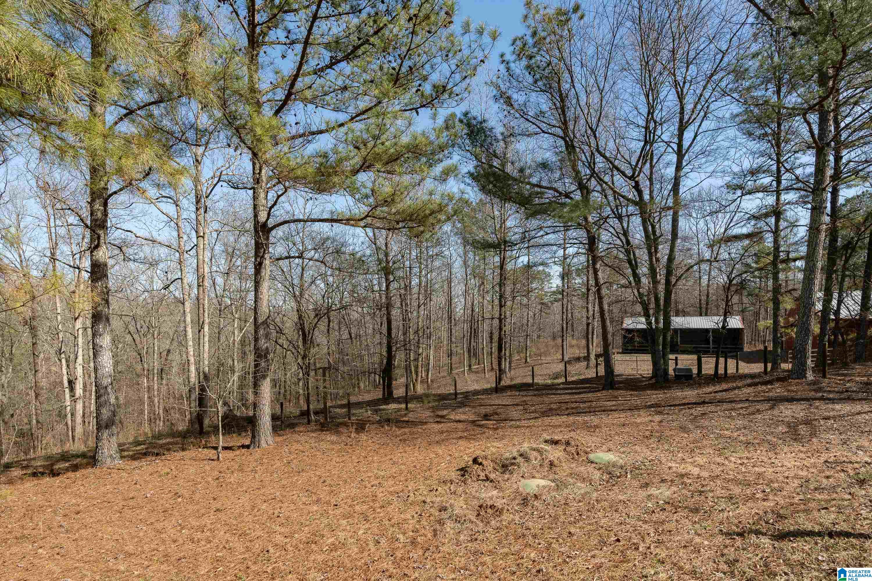 1276 County Highway 7 Hayden, AL 35079 - Photo 58 of 68