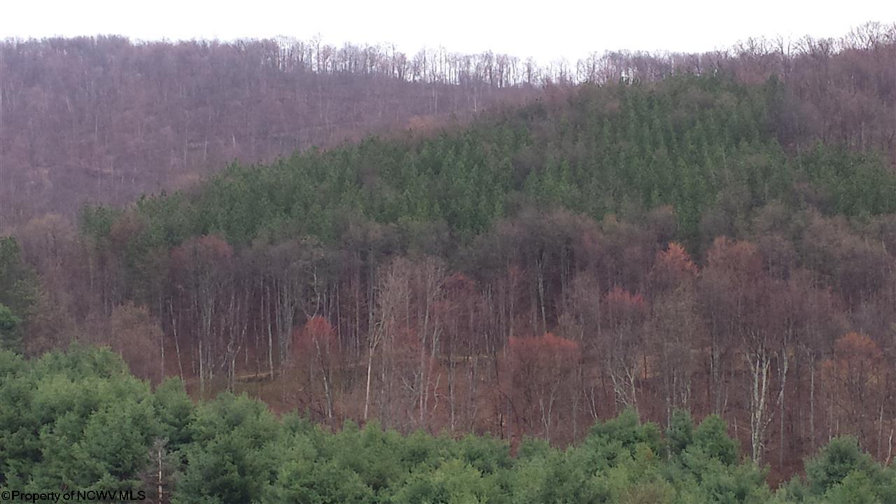 Salt Lick Road Terra Alta, WV 26764 - Photo 6 of 19 Gallery Image 6