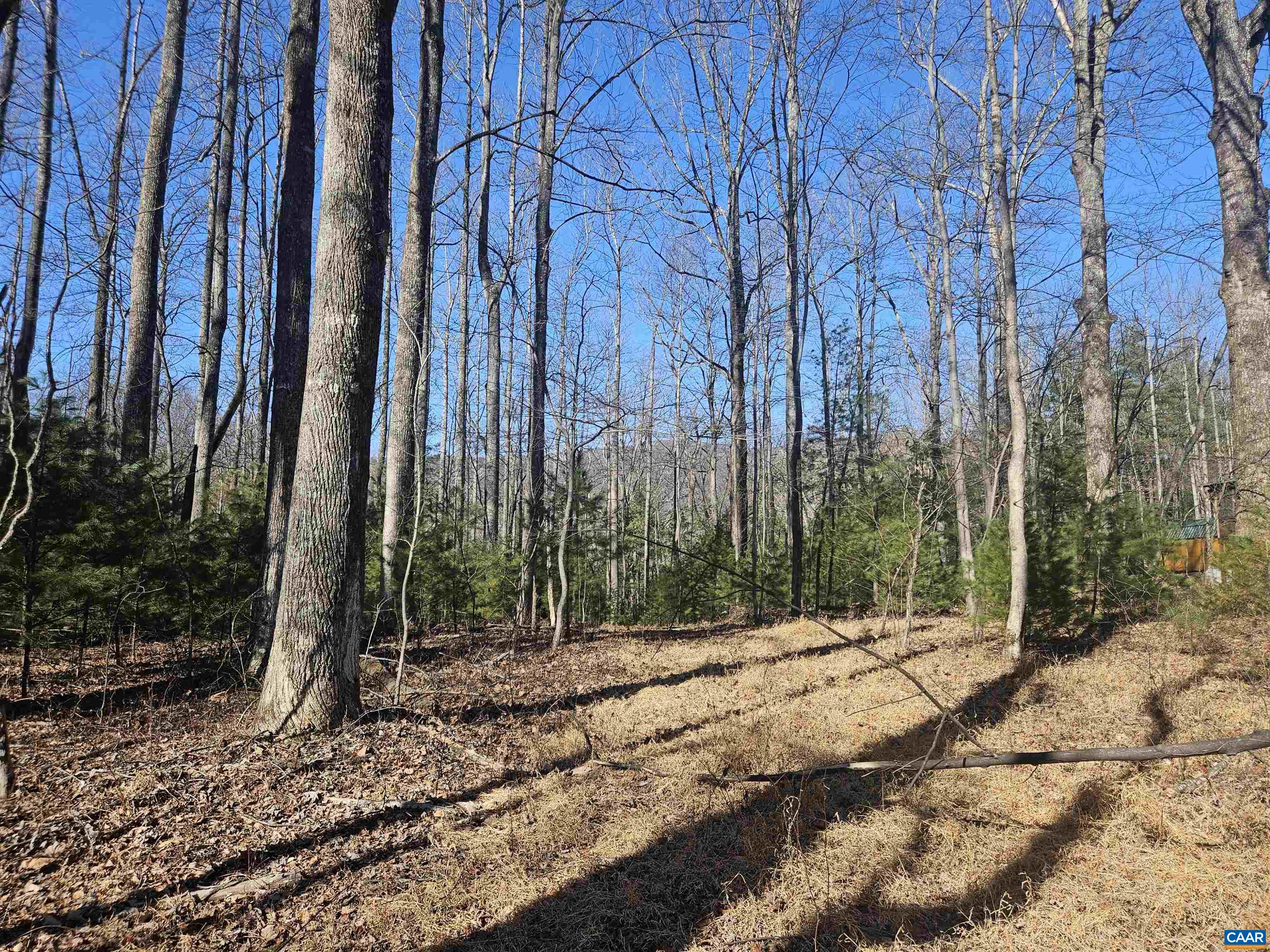 Tbd Lot 56 G Tbd Road Stanardsville, VA 22973 - Photo 3 of 8 a backyard of a house with lots of green space