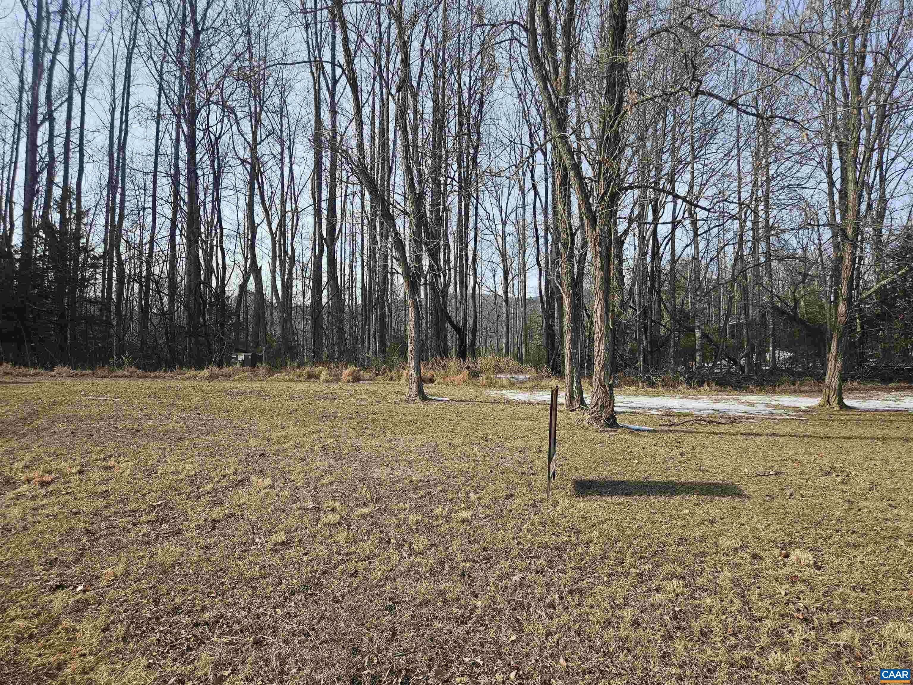 Tbd Lot 56 G Tbd Road Stanardsville, VA 22973 - Photo 4 of 8 a view of outdoor space with trees