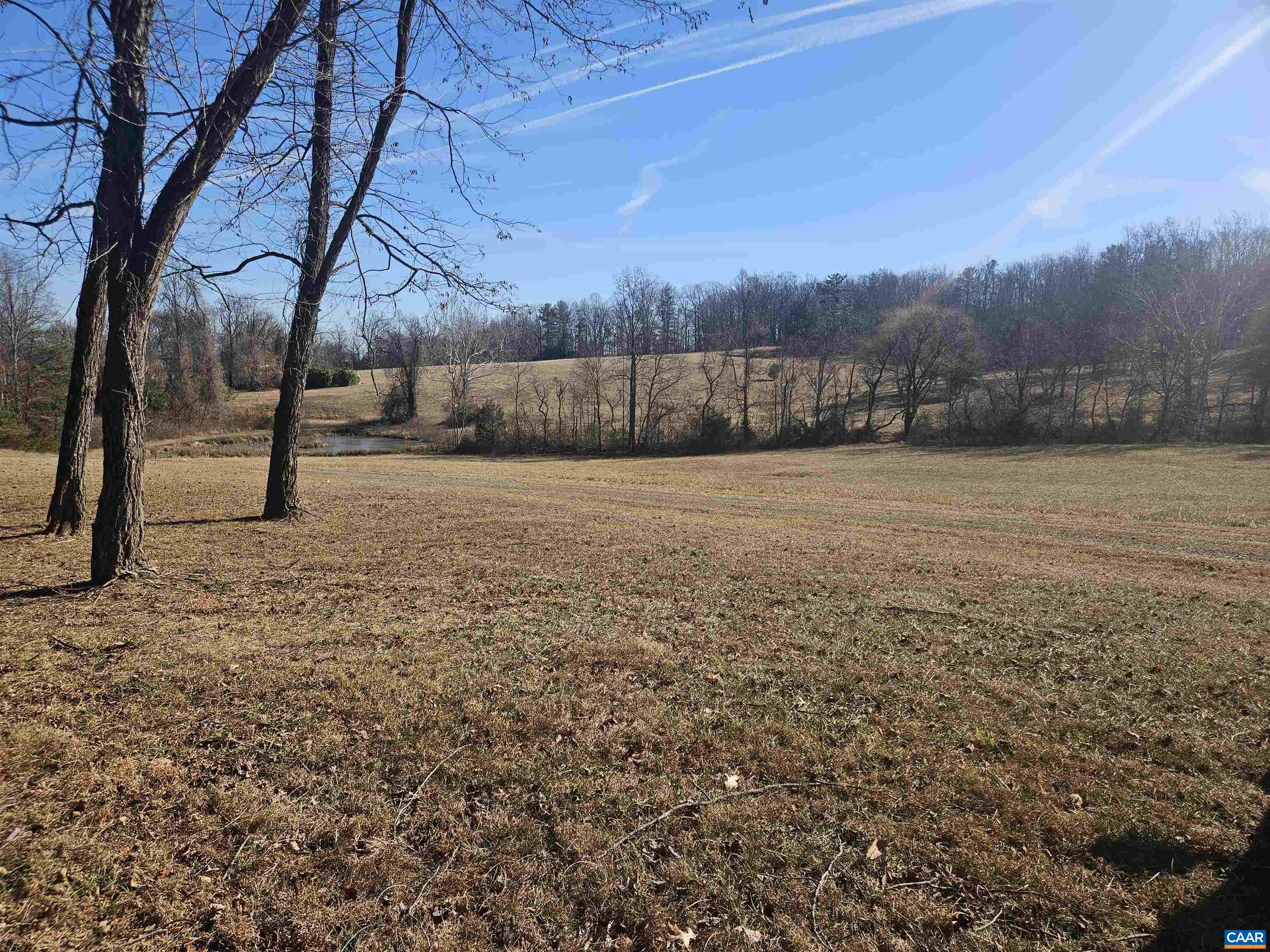 Tbd Lot 56 G Tbd Road Stanardsville, VA 22973 - Photo 5 of 8 a view of a yard with a tree