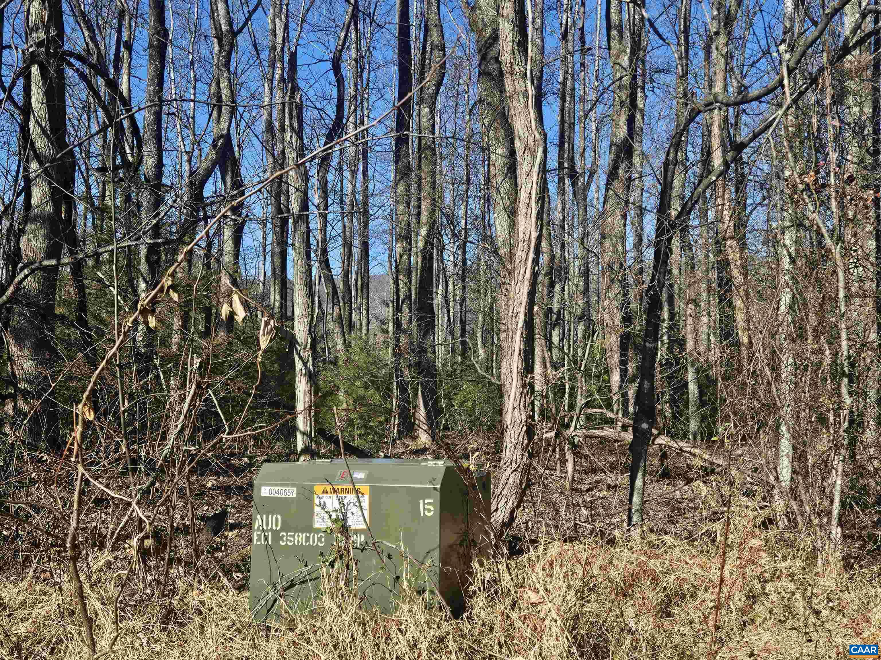 Tbd Lot 56 G Tbd Road Stanardsville, VA 22973 - Photo 6 of 8 a view of a yard with plants and large trees