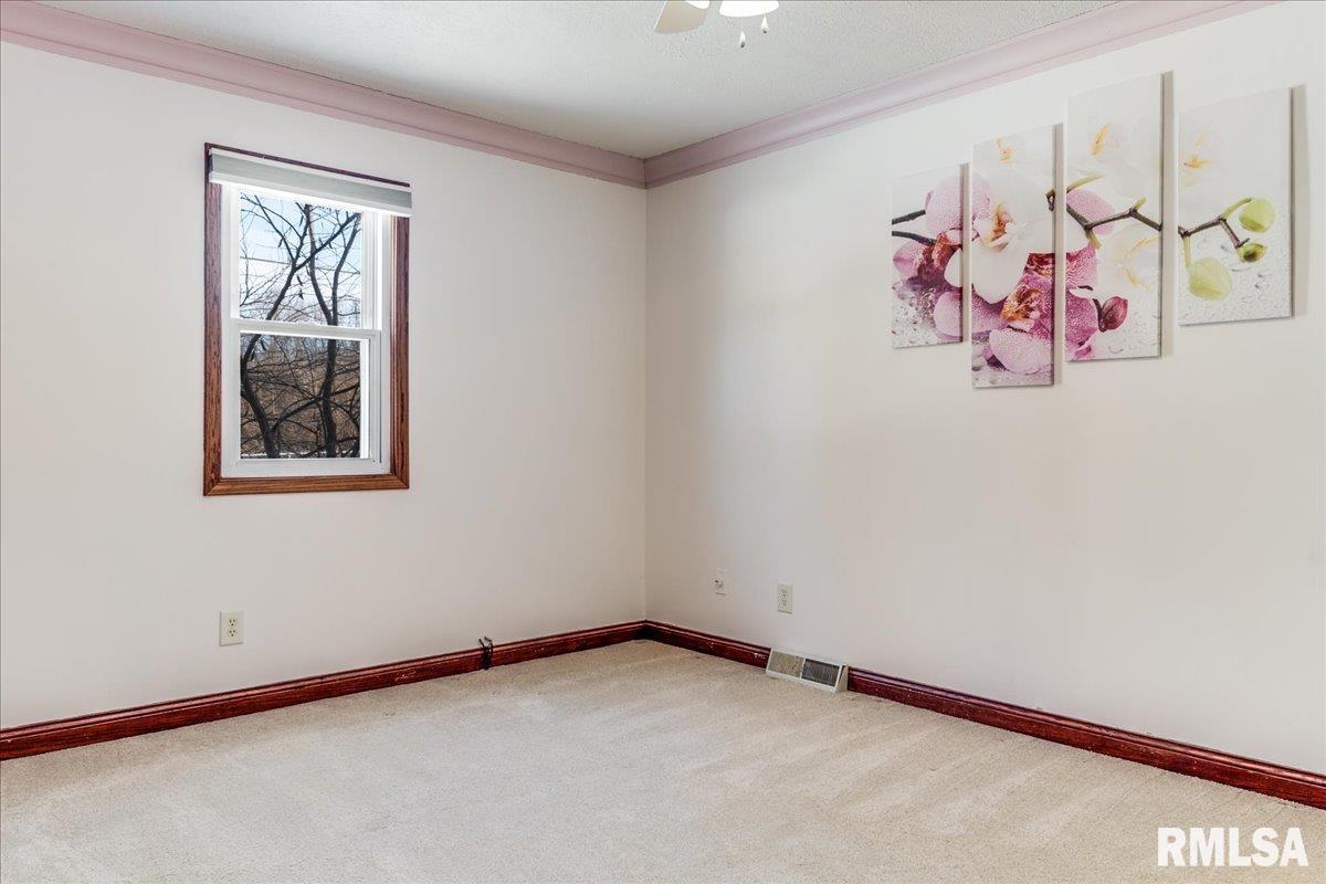 217 Buckhorn Drive Springfield, IL 62707 - Photo 13 of 30 Gallery Image 13