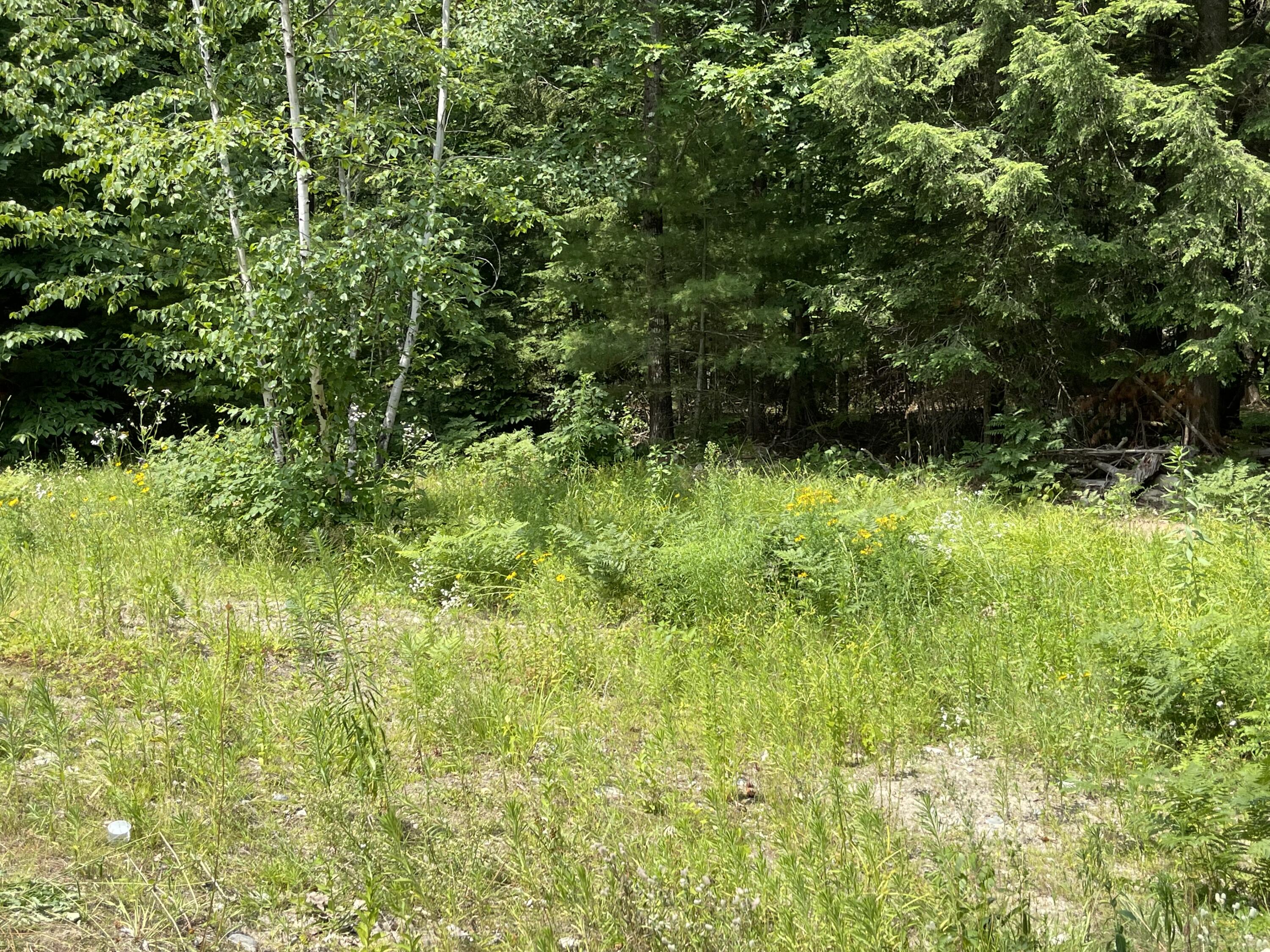 14 Hudsons Way Naples, ME 04055 - Photo 25 of 25 4099D9BE-CD71-425F-B5C6-9491ADAC062A
