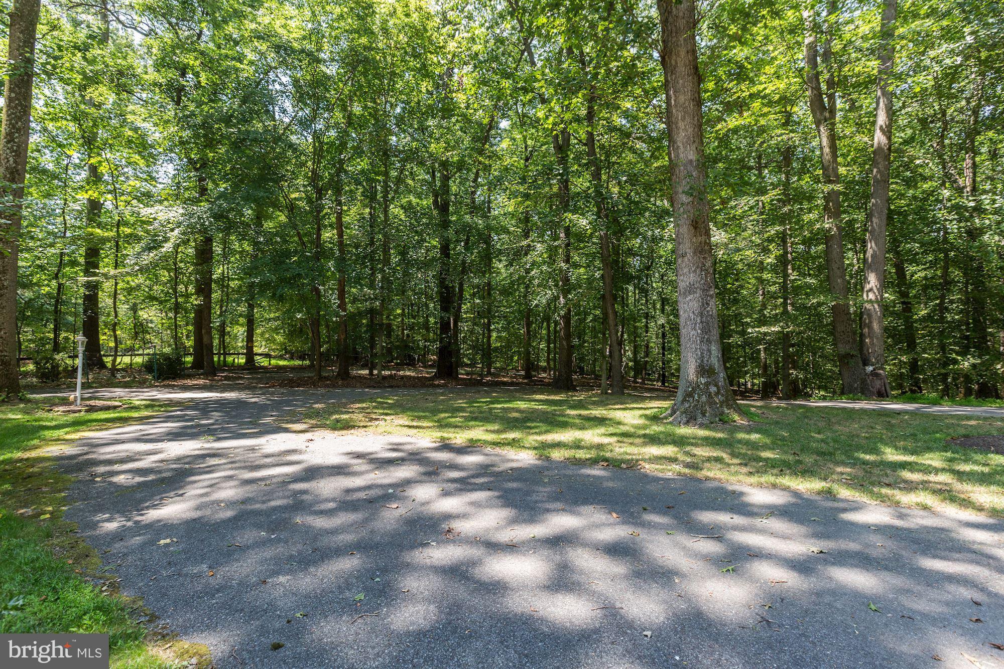 16657 Batchellors Forest Road Olney, MD 20832 - Photo 8 of 77