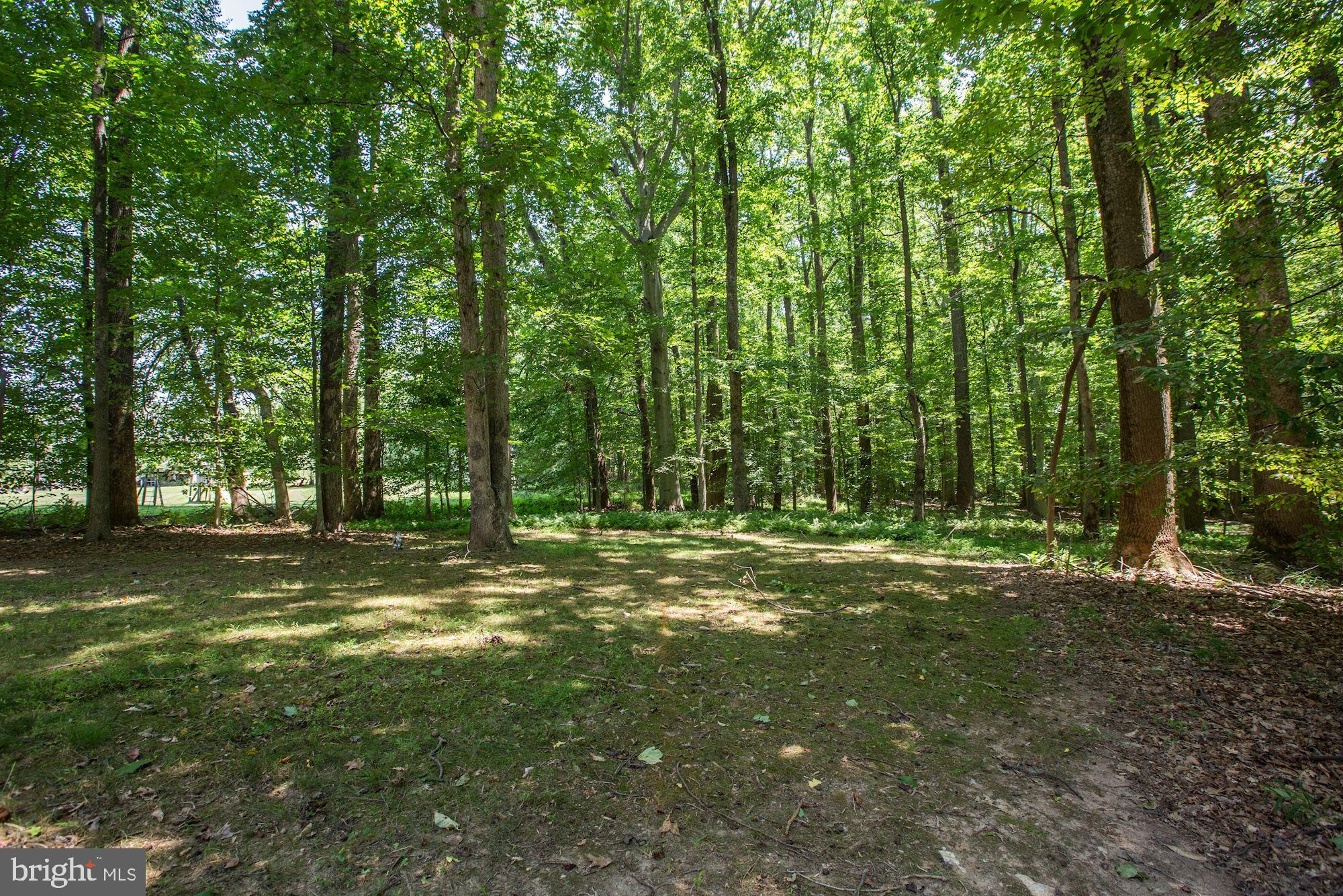 16657 Batchellors Forest Road Olney, MD 20832 - Photo 71 of 77
