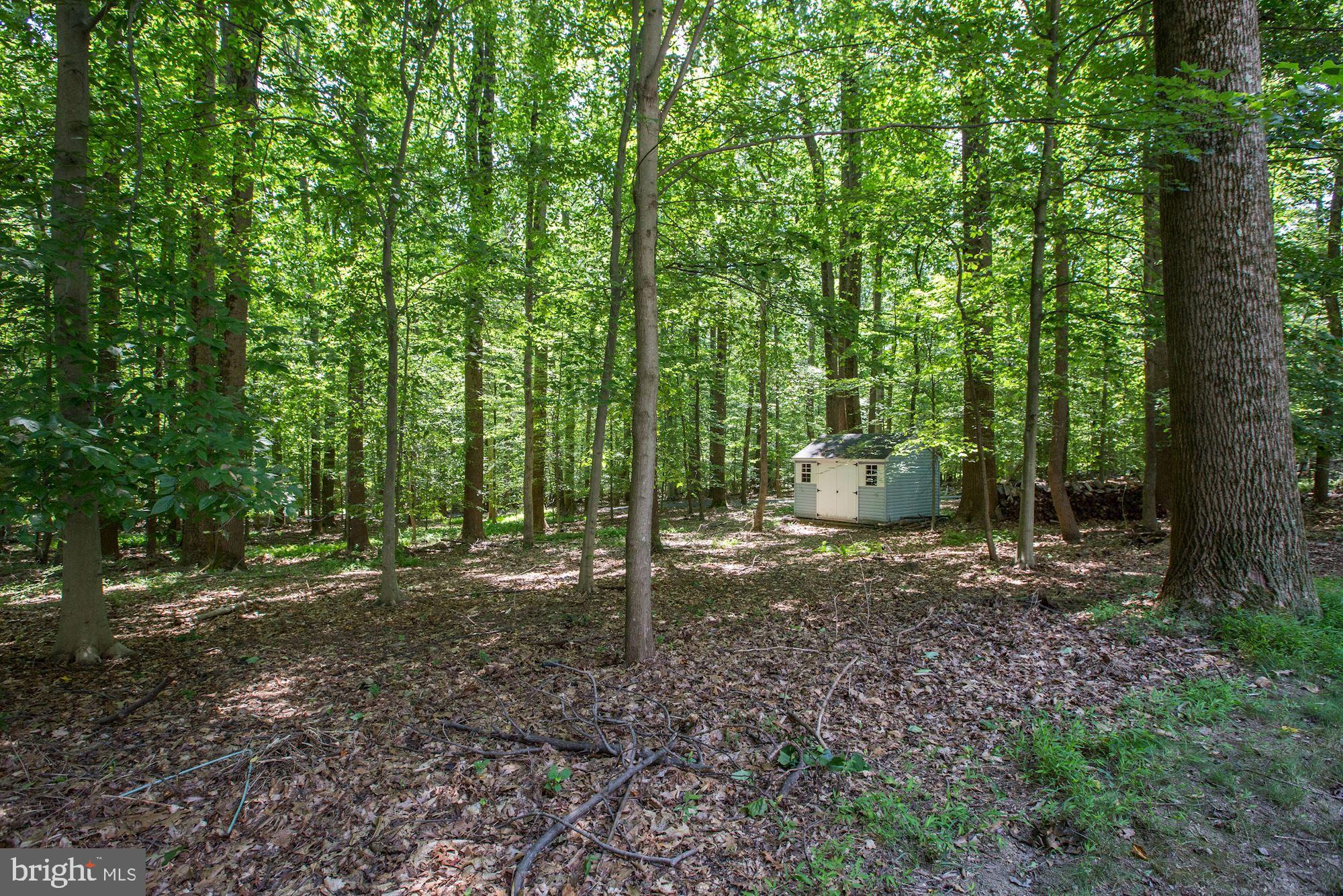 16657 Batchellors Forest Road Olney, MD 20832 - Photo 72 of 77