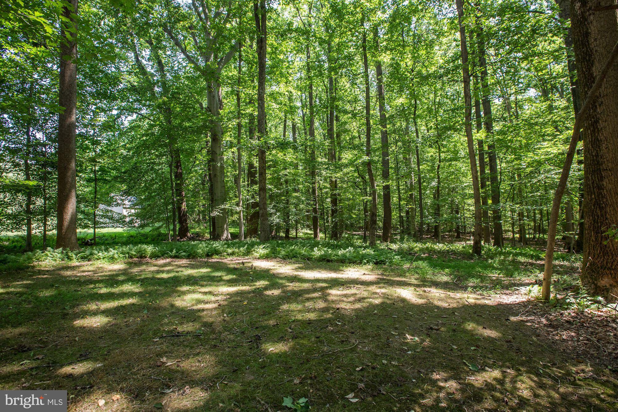 16657 Batchellors Forest Road Olney, MD 20832 - Photo 74 of 77