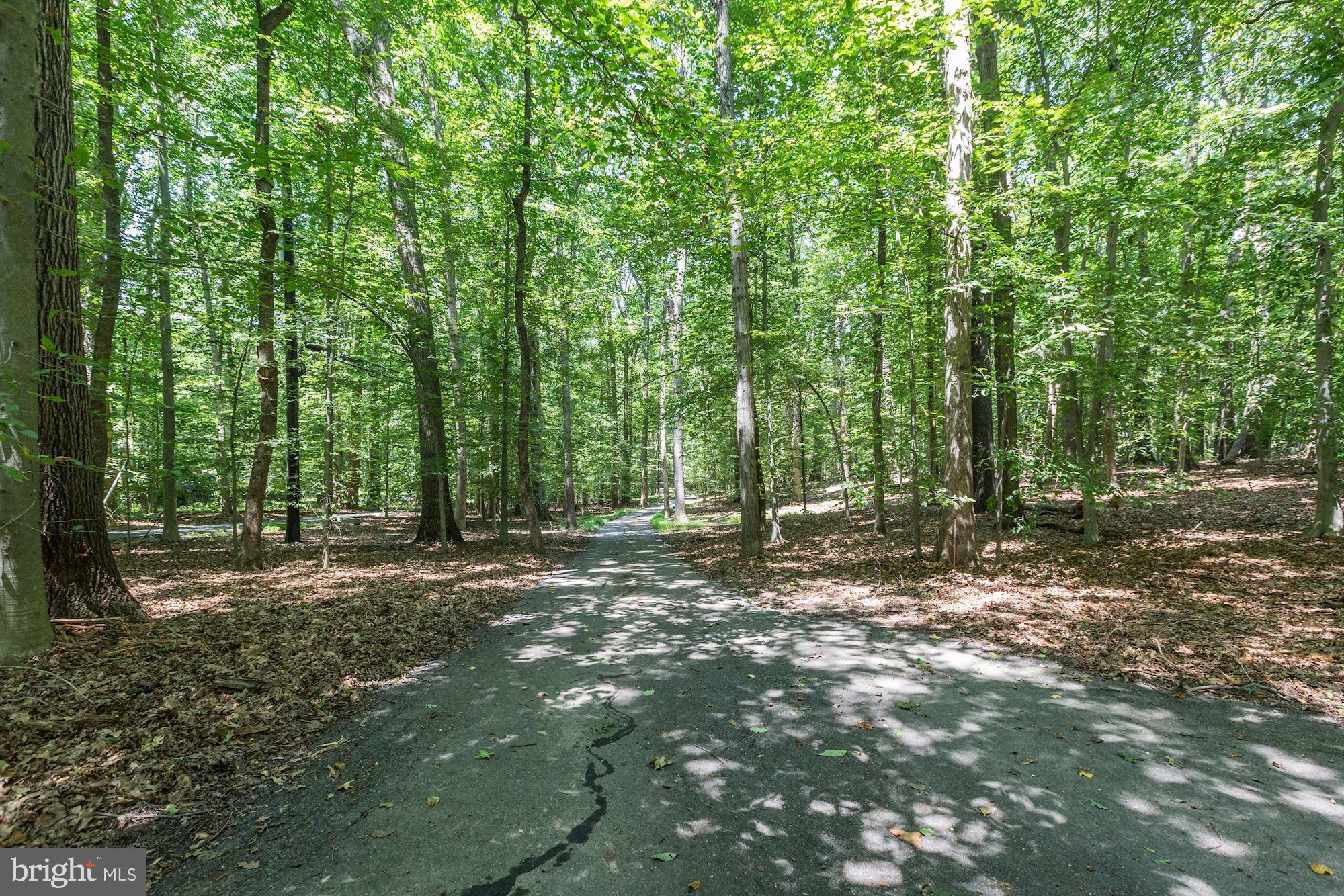 16657 Batchellors Forest Road Olney, MD 20832 - Photo 9 of 77