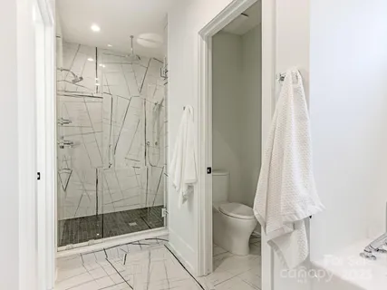 a bathroom with a shower and a toilet