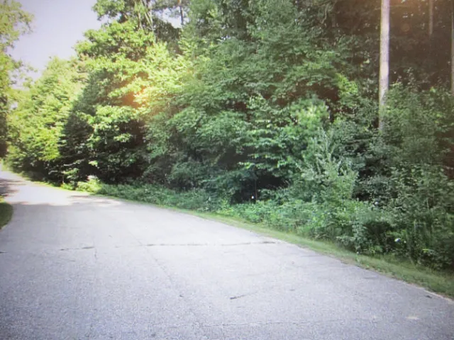 $37,900 | 13478 Windy Craig Drive Northeast, Gowen, MI 49326