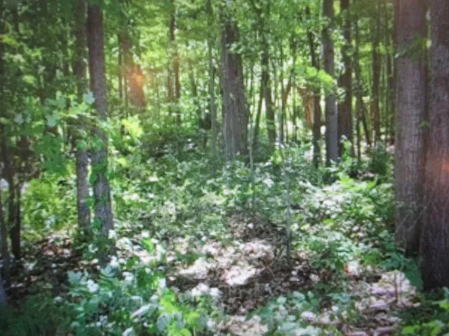 $37,900 | 13478 Windy Craig Drive Northeast, Gowen, MI 49326