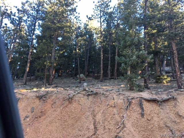 1398 Hitchrack Road Bailey, CO 80421 - Photo 7 of 11 Gallery Image 7