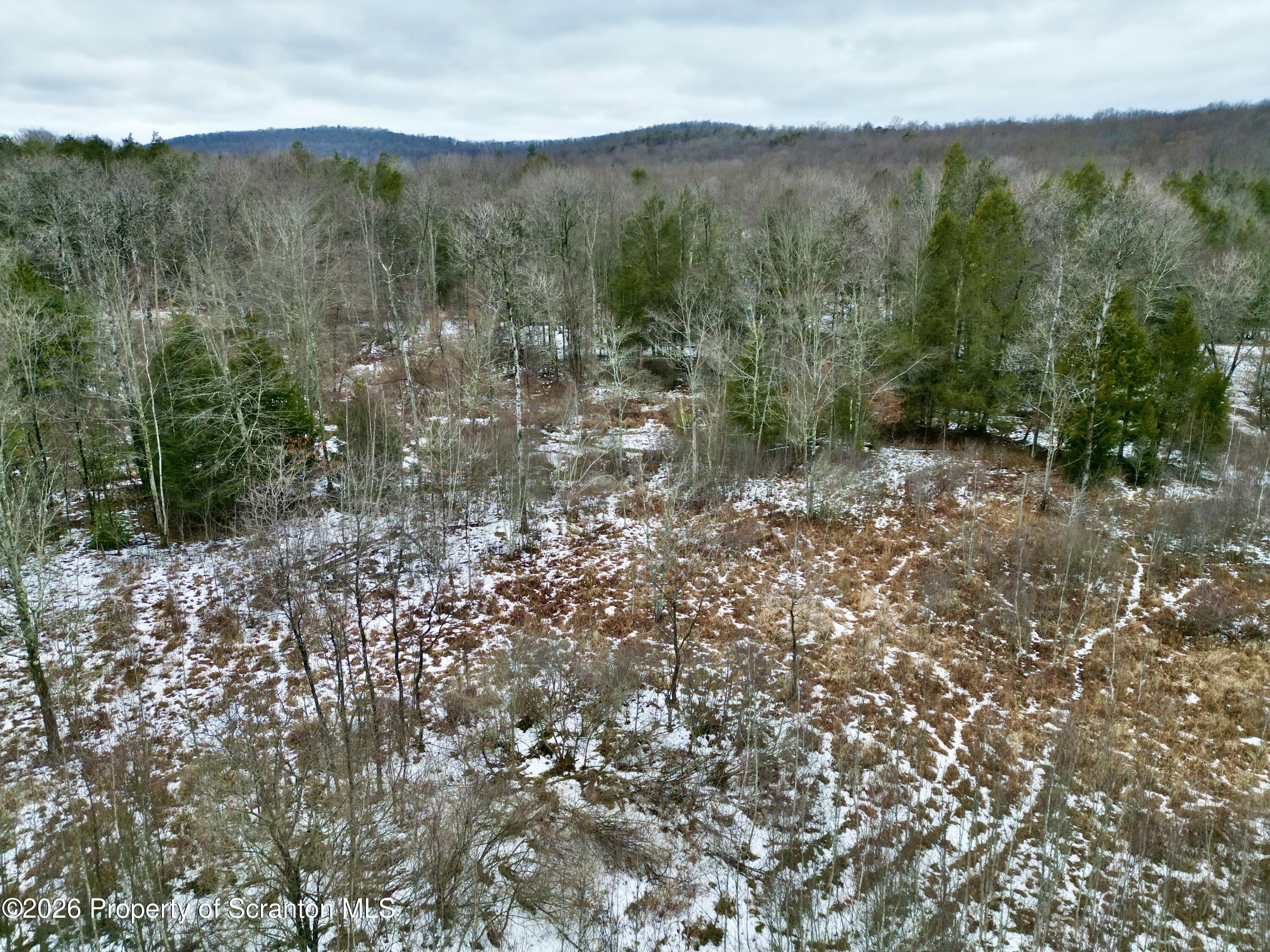 Gravel Pond Road Clarks Summit, PA 18411 - Photo 11 of 11 a view of a forest with a mountain in the background