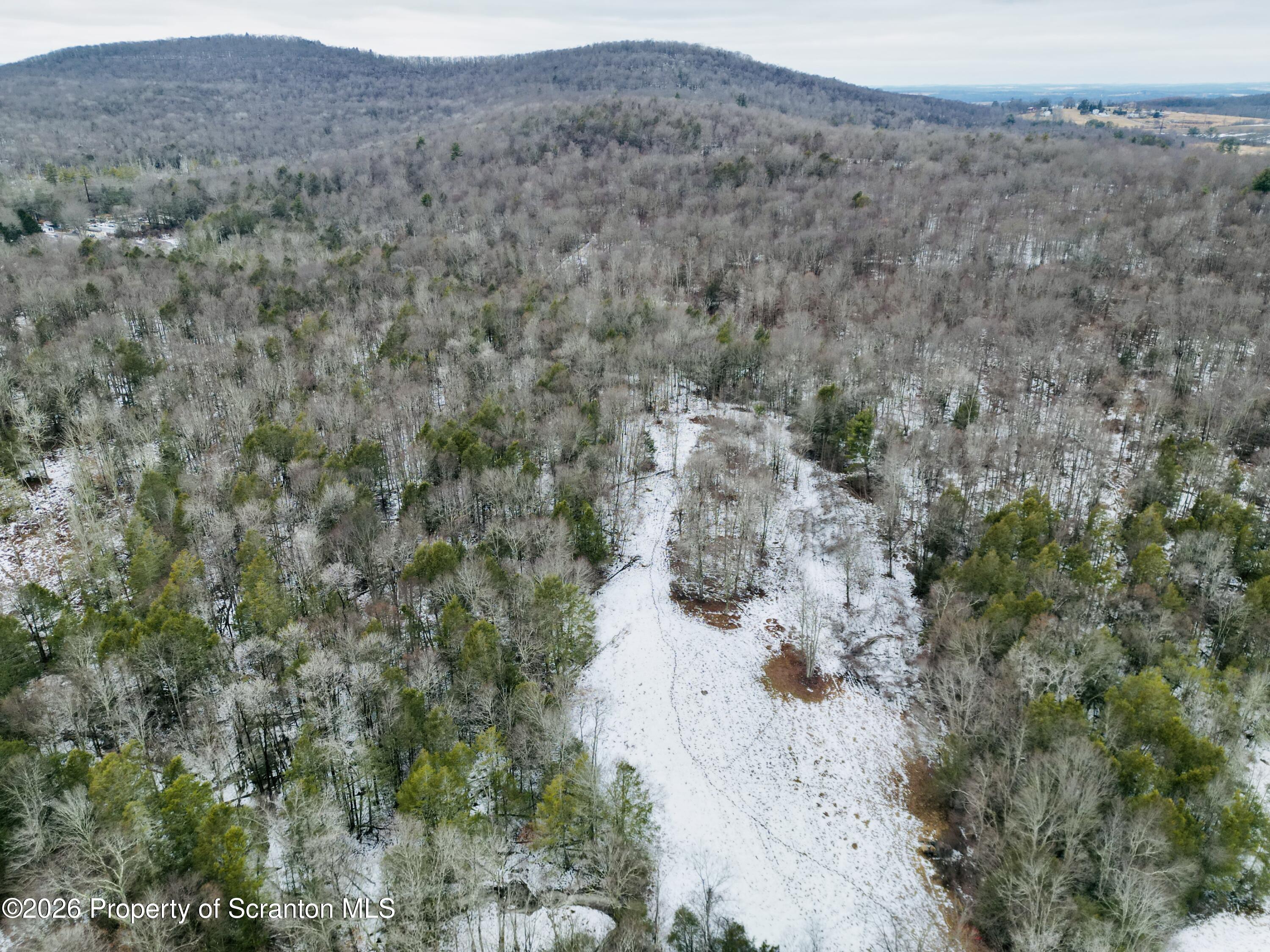 Gravel Pond Road Clarks Summit, PA 18411 - Photo 9 of 11 a view of a dry field with trees in the background