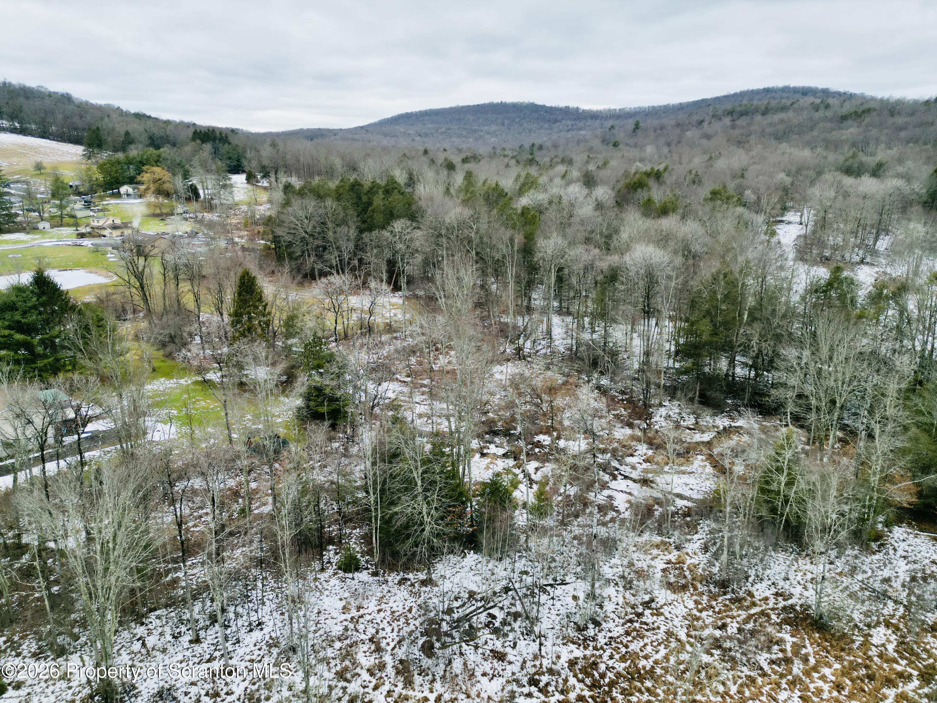 Gravel Pond Road Clarks Summit, PA 18411 - Photo 10 of 11 a view of a forest with trees in the background