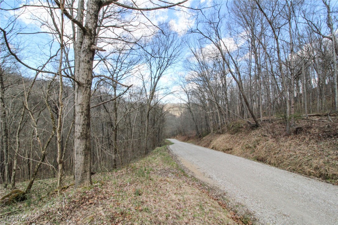 Elk Run Road New Matamoras, OH 45767 - Photo 23 of 27 View of road
