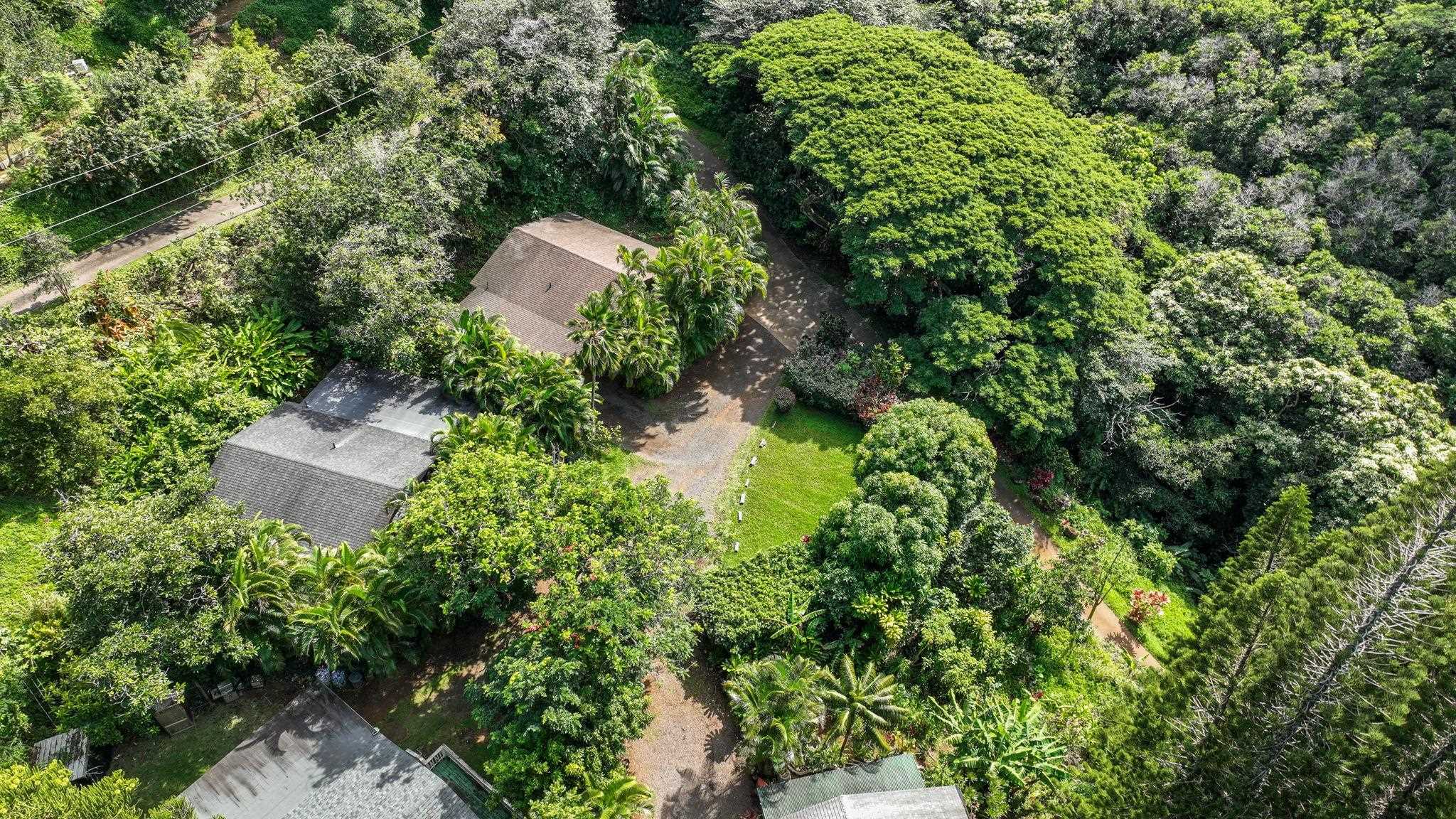 998 Kauhikoa Road, Unit 4 Haiku, HI 96708 - Photo 17 of 40