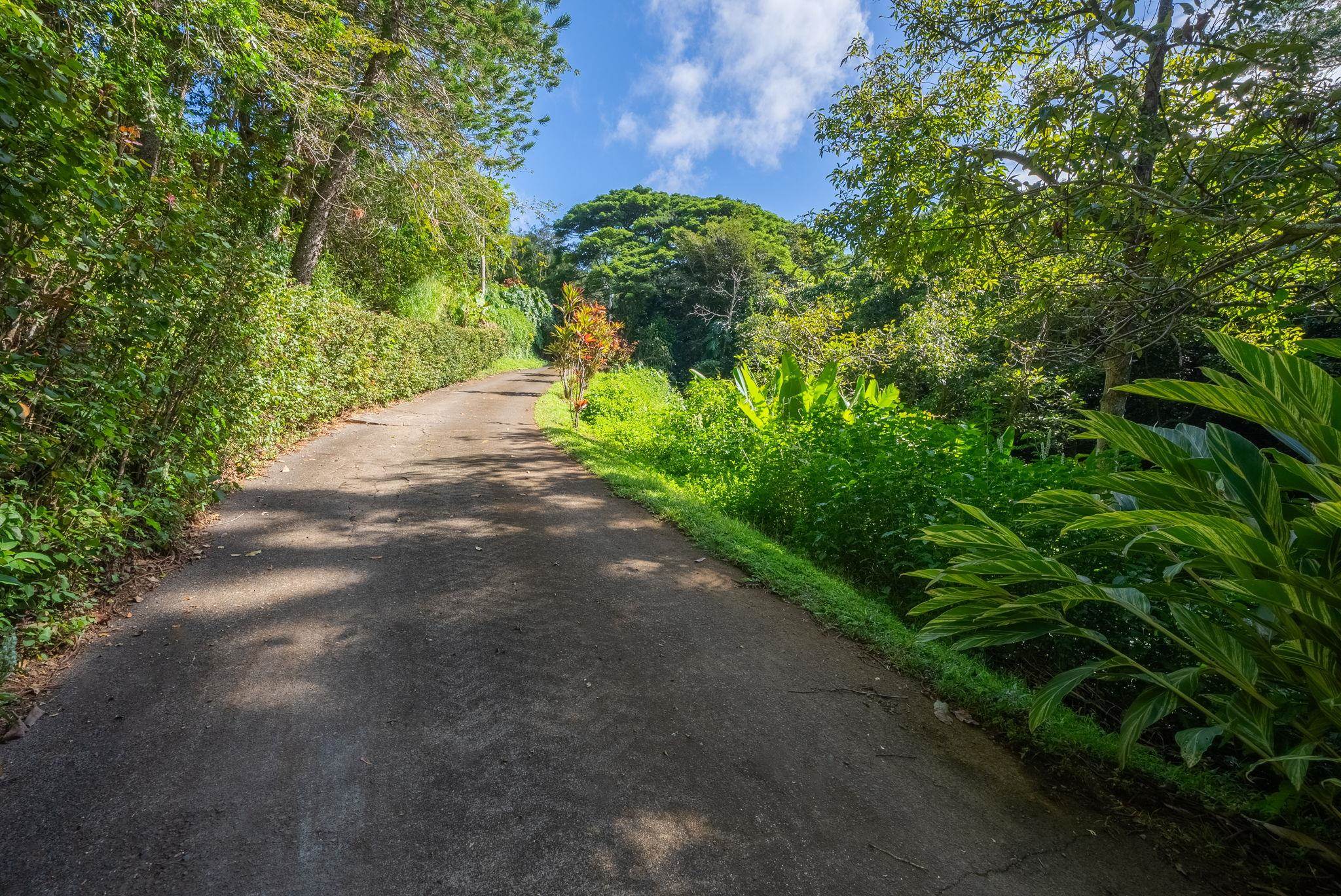 998 Kauhikoa Road, Unit 4 Haiku, HI 96708 - Photo 18 of 40