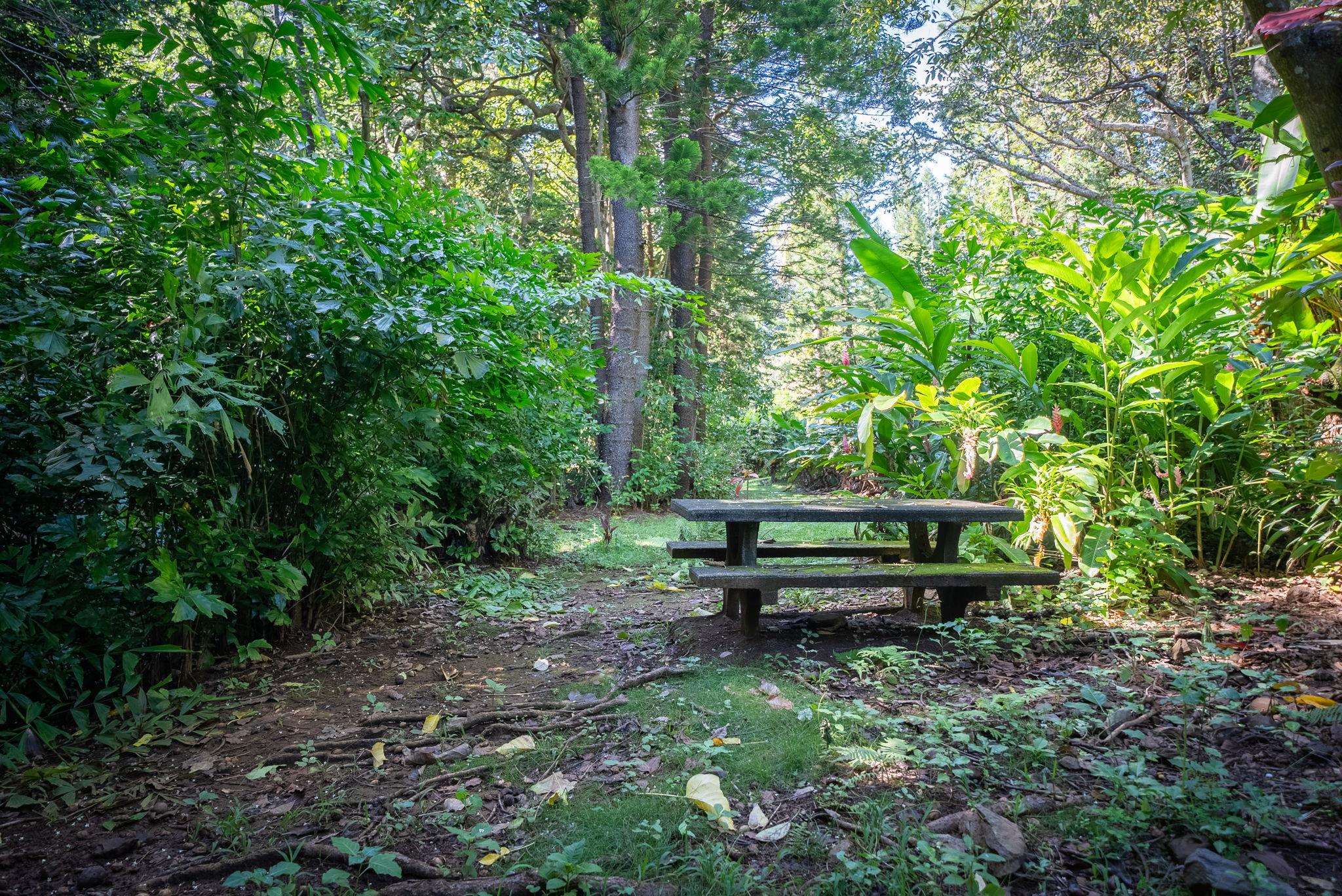 998 Kauhikoa Road, Unit 4 Haiku, HI 96708 - Photo 19 of 40