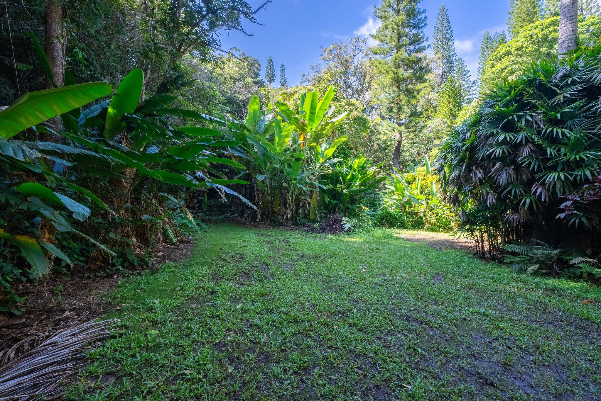 998 Kauhikoa Road, Unit 4 Haiku, HI 96708 - Photo 22 of 40