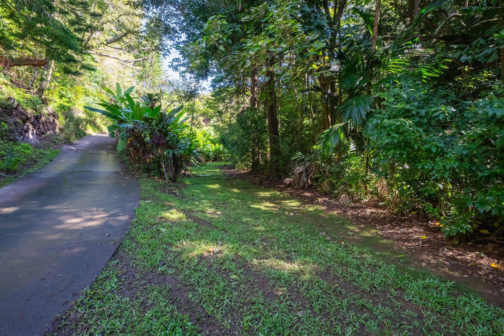 998 Kauhikoa Road, Unit 4 Haiku, HI 96708 - Photo 23 of 40