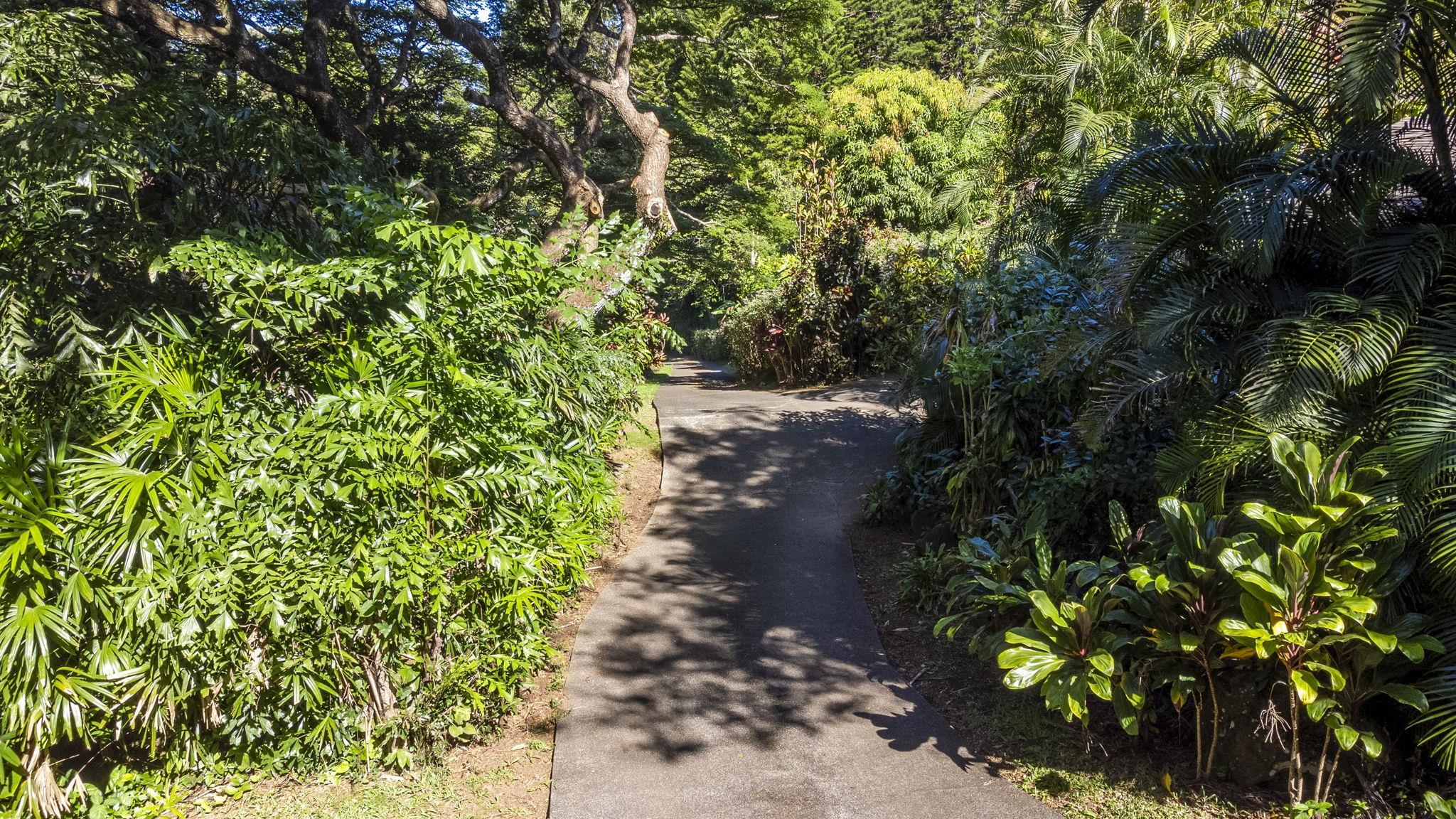 998 Kauhikoa Road, Unit 4 Haiku, HI 96708 - Photo 24 of 40