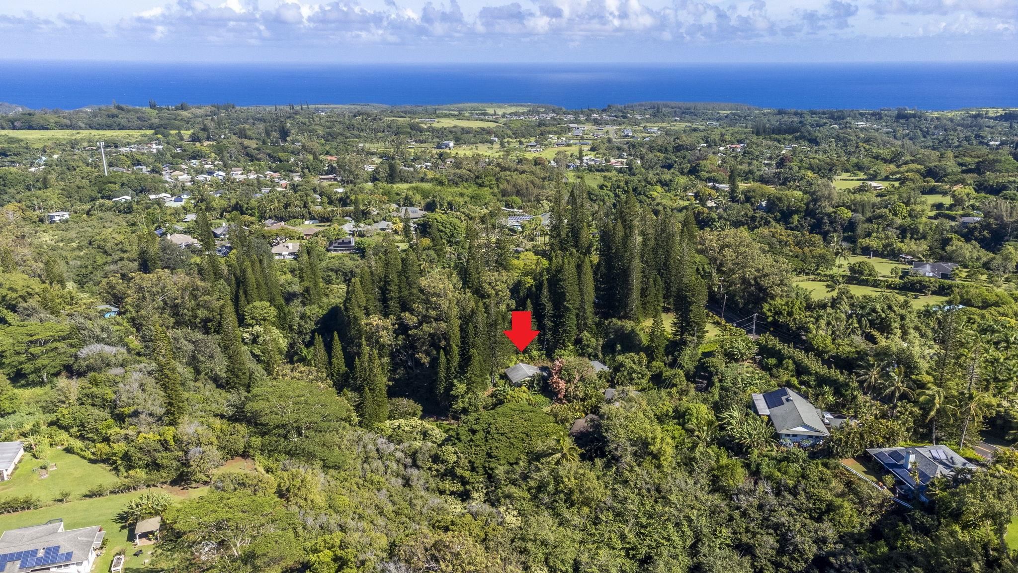 998 Kauhikoa Road, Unit 4 Haiku, HI 96708 - Photo 25 of 40